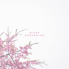 Acquarium - Bloom