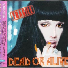 Dead Or Alive - Hit And Run Lover