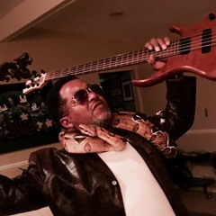 Third Bass 1.0