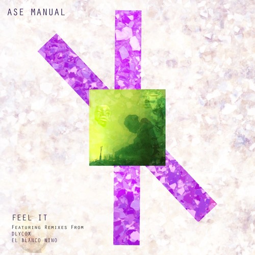 Ase Manual - Feel It