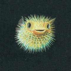 Caspian Sea Monster - Shine On