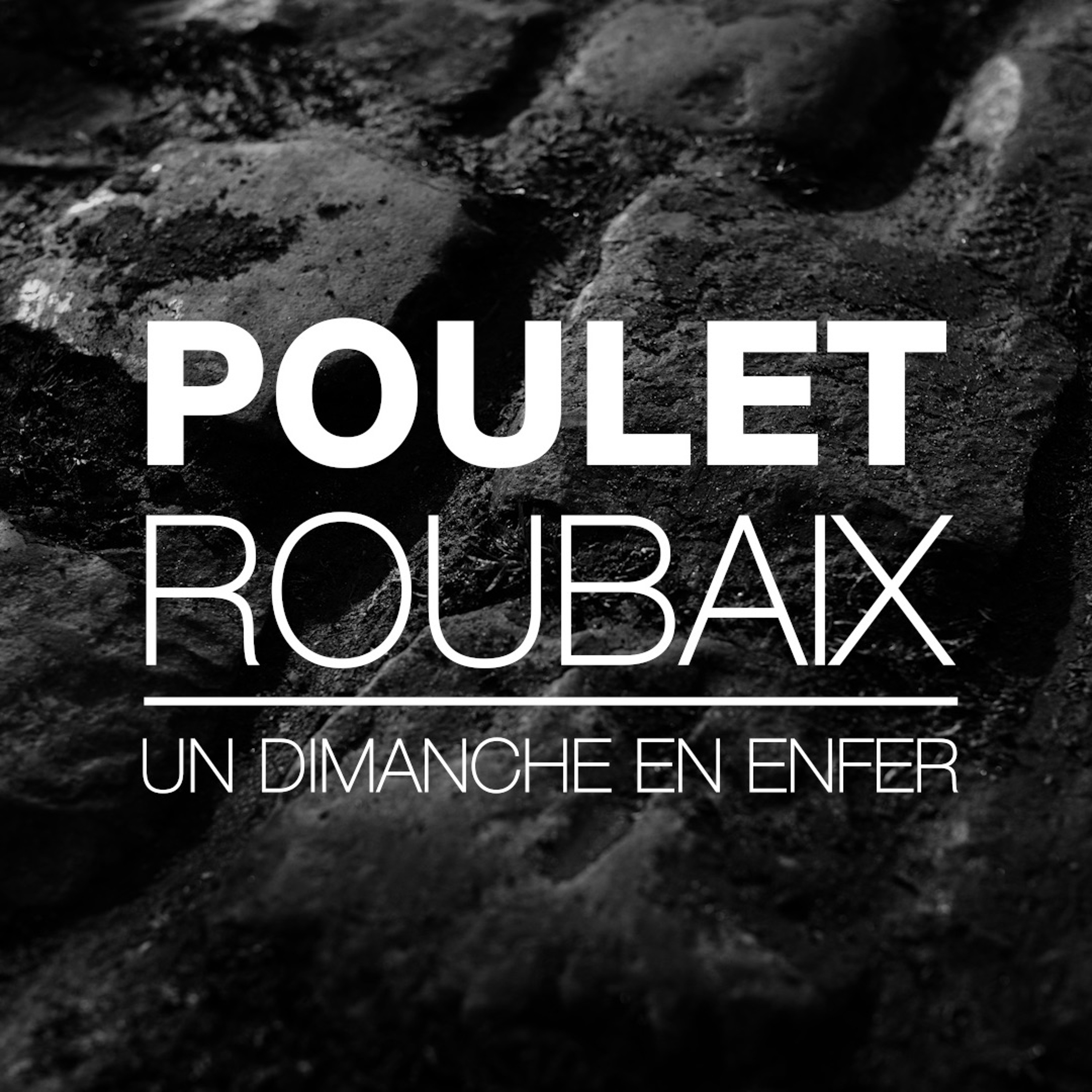 Société Chartraine d\'Elevage de Pixels