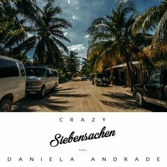 Crazy - Daniela Andrade (Siebensachen Remix)