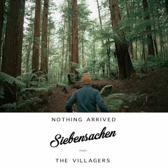 Nothing Arrived - Villagers (Siebensachen Remix)