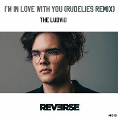 The Ludvig - I'm In Love With You (RudeLies Remix)