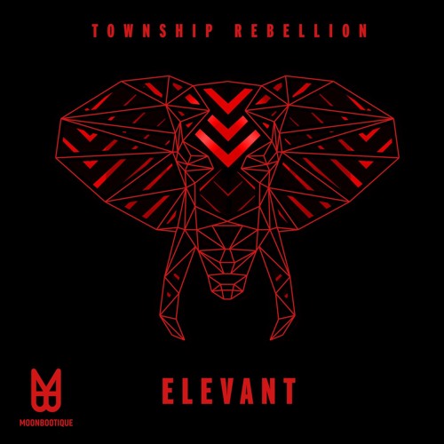 Township Rebellion - ‘Elevant‘ (Moritz Hofbauer Remix)