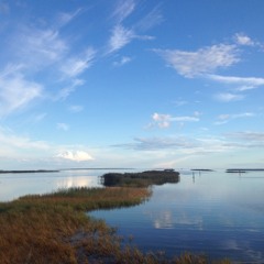 Ich ruf zu dir, Herr Jesu Christ by J. S. Bach