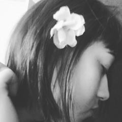 De Platão pra Neruda