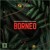 Artwork for Wolfgang Gartner x Aero Chord - Borneo
