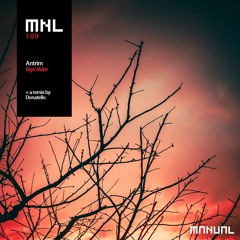 Antrim - It Will Be This Time (Donatello Remix)