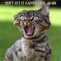 DON'T LET IT HAPPEN ONCE AGAIN (The Music Authority - April 2017)