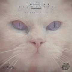 Joeski - Blackbird (Gorgon City Remix)