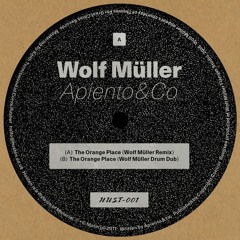 APIENTO & CO 'THE ORANGE PLACE (WOLF MÜLLER DRUM DUB)'