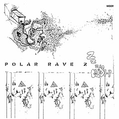 Polar Rave 2 (digest) / VA
