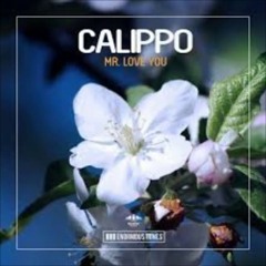 Calippo - Mr  Love You (Original Mix)
