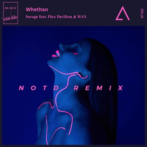 Whethan - Savage (NOTD Remix)