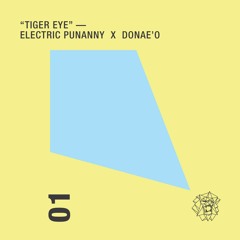 Electric Punanny ft. Donae'O - "TigerEye"