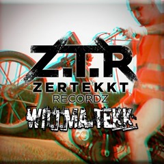 ШILLΜΔ ƬΣƘƘ - Schallert von Rechts nach Links (200er)