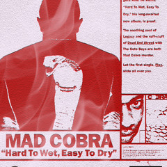 In The Flex ft Mad Cobra [Instrumental]