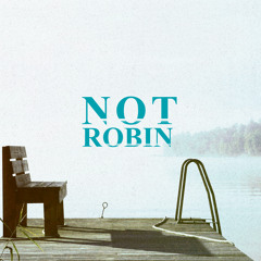 Not - Robin