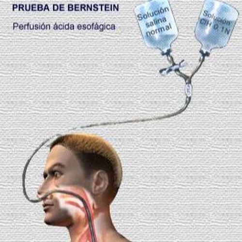 Prueba De Bernstein By Angela Free Listening On SoundCloud Prueba De Bernstein By Angela Free Listening On SoundCloud