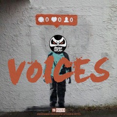 Noize Ninjaz - Voices (Original Mix)