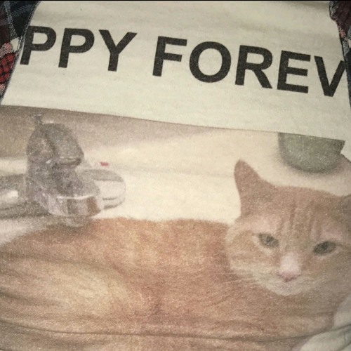Poppy Forever
