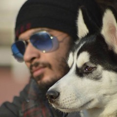 على الشاعر ( 1000 ميل ) الف ميل