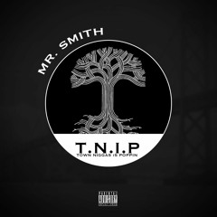 Mr. Smith T.N.I.P Prod. By MotivBeats