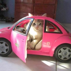 AcousticSessions playlist