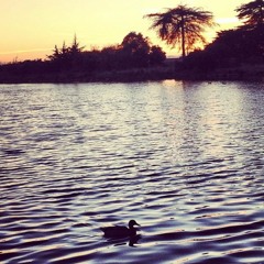 GDF's 5th Symphony (Teal)