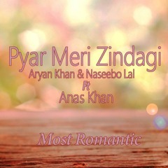 Aryan Khan & Naseebo Lal ft Anas Khan | Pyar Meri Zindagi Remix | Medley 2017 | Latest Punjabi Songs