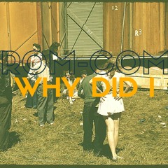 Why Did I - feat. Slingfinger