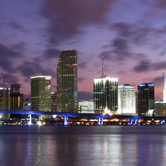 Miami BassTard 2