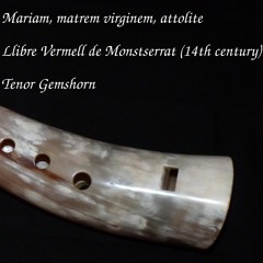 Mariam, matrem virginem, attolite