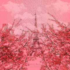 Paris Blossom