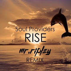 *FREE TRACK* - Soul Providers - Rise (Mr Ripley Remix) - 50k plays thank you! =D
