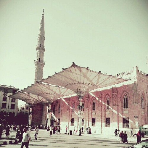 مديح أبناء الدوحة الإدريسية(نحن فى ساحة الحسين نزلنا)