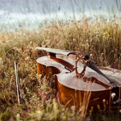Schubert: String Quintet in C major, D.956, 1. Allegro non troppo.