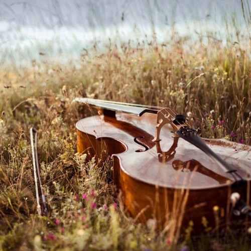 Schubert: String Quintet in C major, D.956, 1. Allegro non troppo.