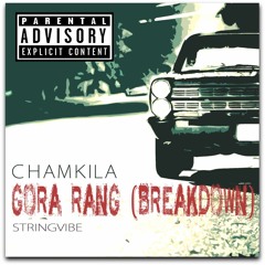 Gora Rang (Breakdown) - Chamkila ft. StringVibe