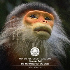 Hear No Evil - 3rd April 2017 - "Off The Radar" #2 - DJ Snips