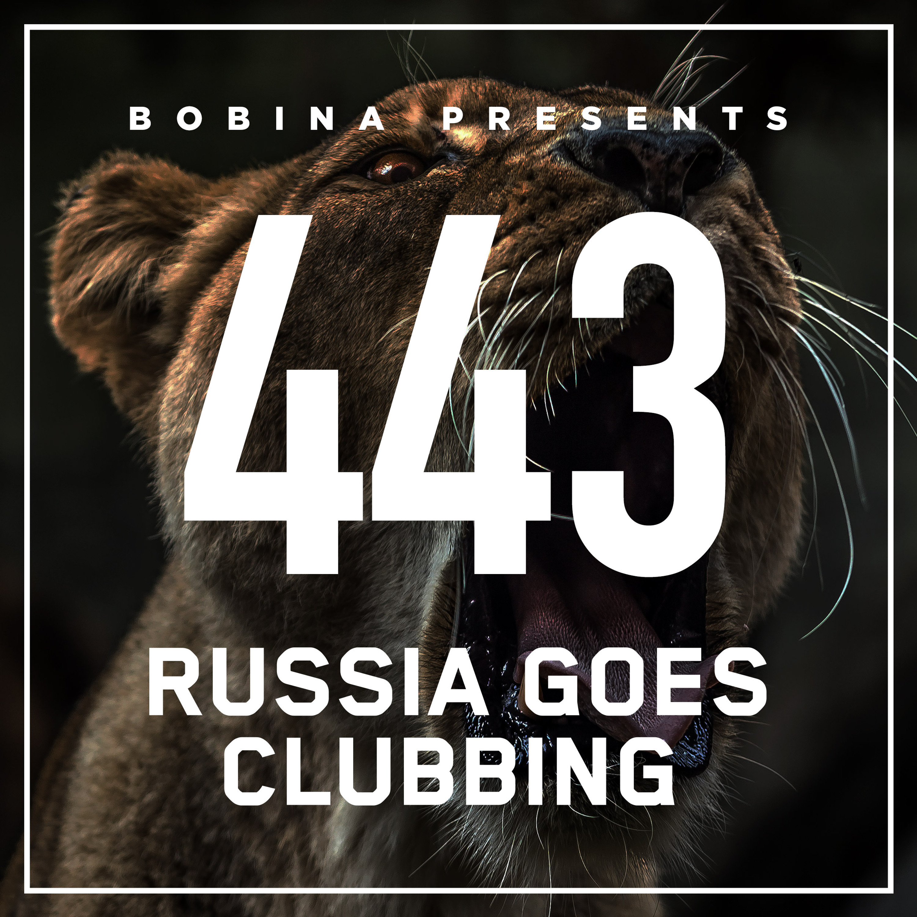 Russia Goes Clubbing