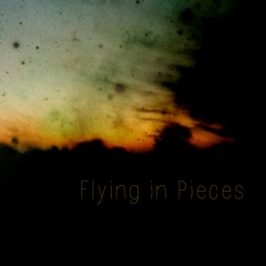 Flying in pieces