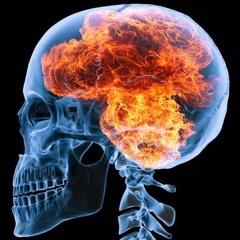 This Is Your Brain On Filth