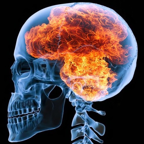 This Is Your Brain On Filth