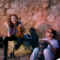 Mycelium (with Violin Baba)