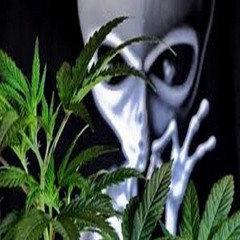 Fox Man - Légitime Défonce