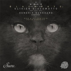 Blackrays Feat. Hendrik Burkhard (Kiko & Citizen Kain Remix)_