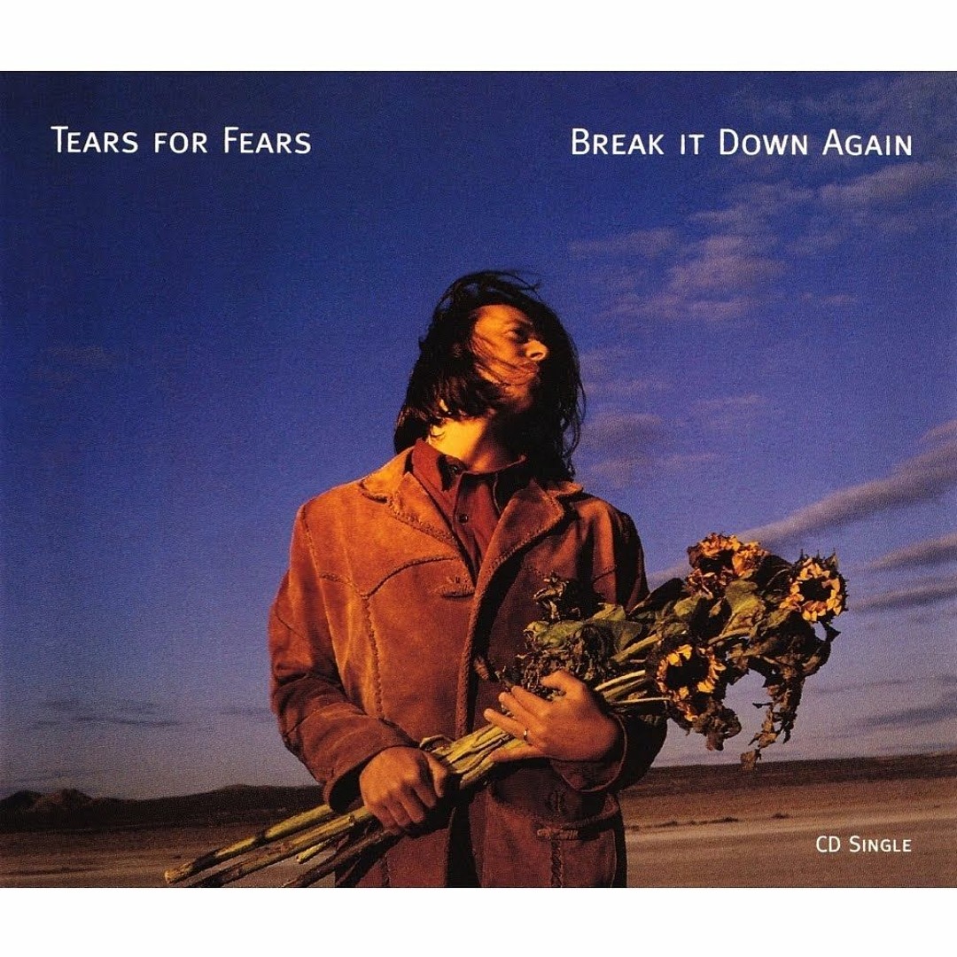 Stream Tears For Fears - Break It Down Again (Dynamo Extended Mix
